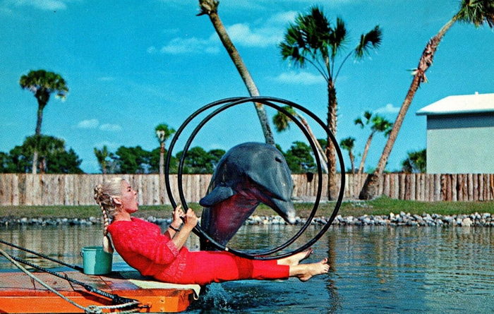 Floridaland - Vintage Postcard (newer photo)